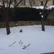 Quérigut 17/02/2015