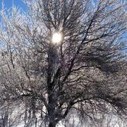 Saint-Agnan-en-Vercors 18/02/2015