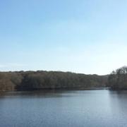 Trans-la-Forêt 21/02/2015