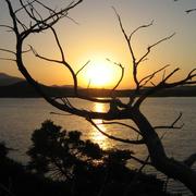 Monacia-d'Aullène 04/12/2009