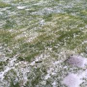 Laigné-en-Belin 21/02/2015