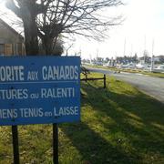 Mortagne-sur-Gironde 22/02/2015