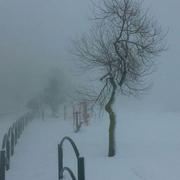 Jérusalem 22/02/2015