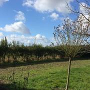 Le Burgaud 27/02/2015