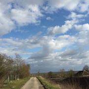 Montiéramey 27/02/2015