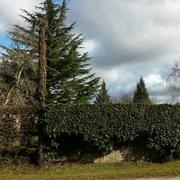 Couloutre 04/03/2015