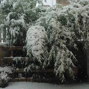 Tucquegnieux 06/03/2015