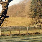 Seppois-le-Bas 08/03/2015