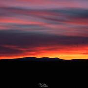 Vergongheon 08/03/2015