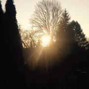 Seppois-le-Haut 10/03/2015