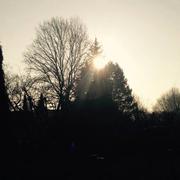 Seppois-le-Bas 10/03/2015