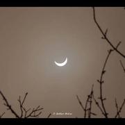 Courson-les-Carrières 21/03/2015