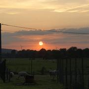 Longchamps-sur-Aire 09/04/2015