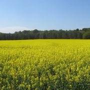 Briosne-lès-Sables 22/04/2015