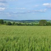 Montenoison 19/05/2015