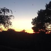 Saint-Lambert-la-Potherie 21/05/2015