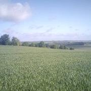 Courtémont 28/05/2015