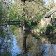 Corcoué-sur-Logne 02/06/2015