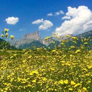 Chichilianne 04/06/2015