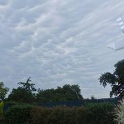 Forest-en-Cambrésis 05/06/2015