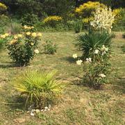 Villebazy 07/06/2015