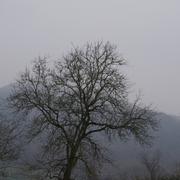 Gotein-Libarrenx 16/12/2009