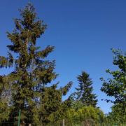 Dampierre 08/06/2015