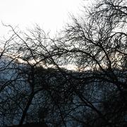 Béthines 16/12/2009