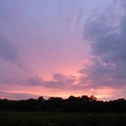 Saint-Amand-sur-Sèvre 11/06/2015