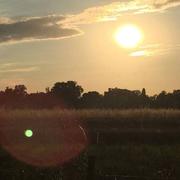 Montesquieu-Volvestre 21/06/2015