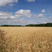 Notre-Dame-du-Pé 23/06/2015