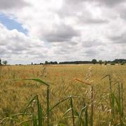 Notre-Dame-du-Pé 23/06/2015