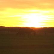 Seranville 29/06/2015