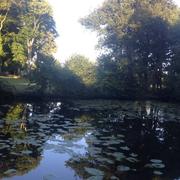 Dol-de-Bretagne 02/07/2015