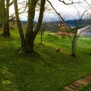 Saint-Anthème 02/07/2015