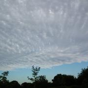 Picauville 10/07/2015