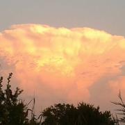 Mandres-aux-Quatre-Tours 18/07/2015