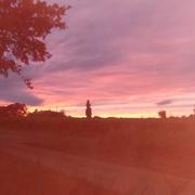 Parleboscq 29/07/2015