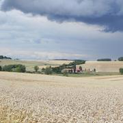 Landres-et-Saint-Georges 30/07/2015