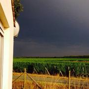 Sauternes 03/08/2015