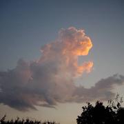 Lauthiers 07/08/2015