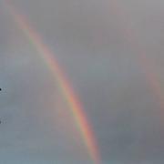 Condamine 13/08/2015