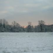 Selles-Saint-Denis 19/12/2009