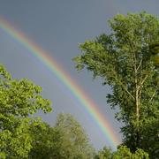 Longeville-en-Barrois 16/08/2015