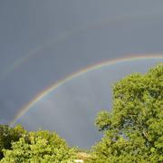 Longeville-en-Barrois 16/08/2015