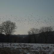 Brinon-sur-Beuvron 20/12/2009