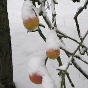 Eaux-Puiseaux 19/12/2009