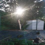 Mirambeau 13/09/2015