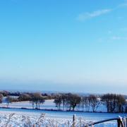 La Pommeraie 20/12/2009