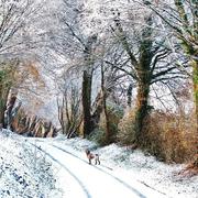 La Pommeraie 20/12/2009